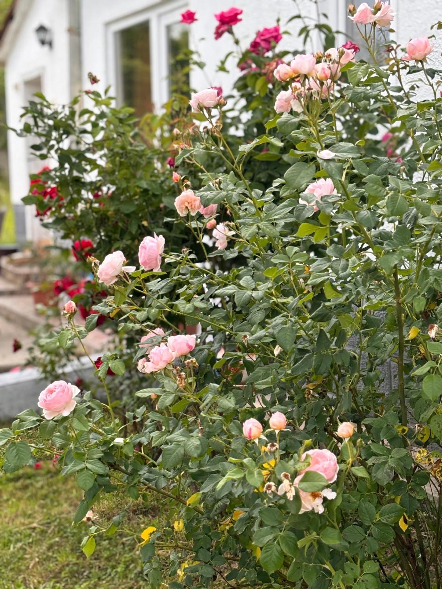 Country House Hatagel ภายนอก รูปภาพ